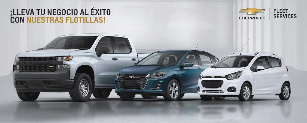 GM Fleet Services