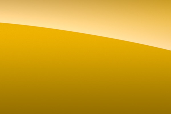 Yellow Jacket
